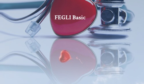 FEGLI Basic