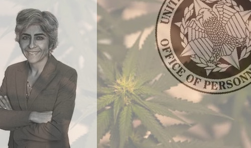 Image for OPM News: New Director Awaits Confirmation and Memo on Marijuana Released