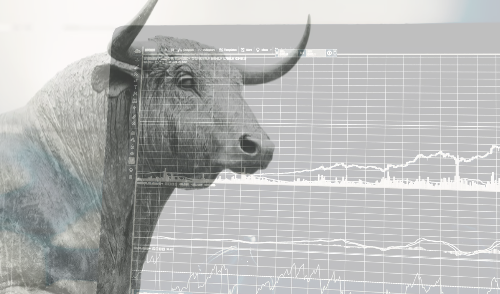 Image for The S-Fund in the TSP: How Small Is It?