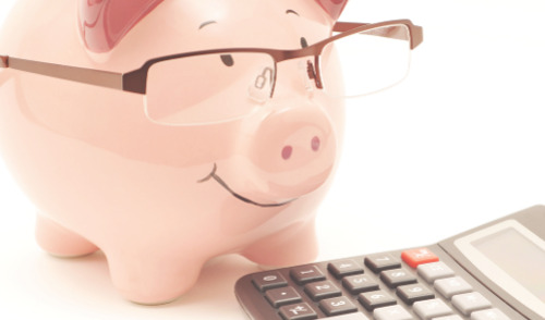 2024 Federal Pay Raise - piggy bank calculator