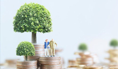 Important Facts About CSRS ; image: older couple on a hill of coins under a tree