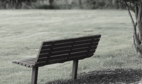 survivor benefits ; image: an empty lonely bench