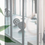 Marijuana and Telework Policies ; image: cannabis plant, dumbbell, and young woman with laptop