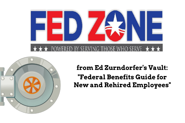 Image for The FEDZONE Vault: Federal Benefits Guide for New and Rehired Employees